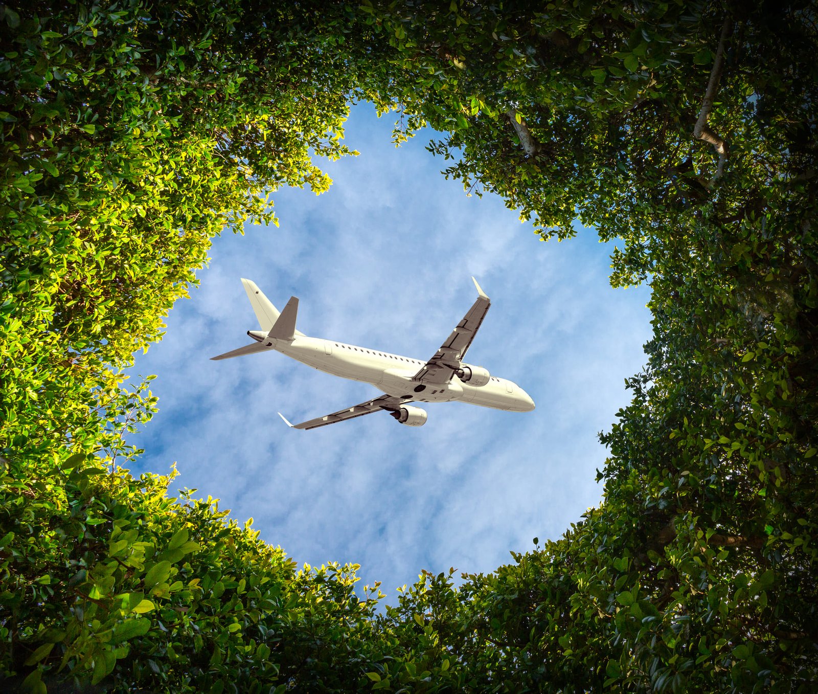 Eco-friendly transportation strategies to Reduce Your Carbon Footprint When Traveling